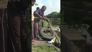 wild elephant trap in concrete waters. #elephantlove #bbcearth  #wildliferescue #elephantsanctuary