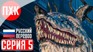 BLOODBORNE (PS5) Прохождение 5 ᐅ Ведьма Хемвика.