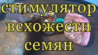 "ВЫТЯЖКА" ИЗ ЛУКОВОЙ ШЕЛУХИ - стимулятор всхожести семян в домашних условиях.