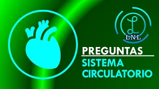 ¿Qué tanto conoces de antemano el sistema circulatorio? 5 preguntas sencillas antes del capítulo 29