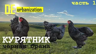 Строительство курятника. Чёрная брама. 1 ЧАСТЬ