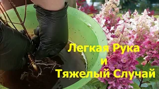 Срочная Реанимация  Стоит ли надеяться на лучшее