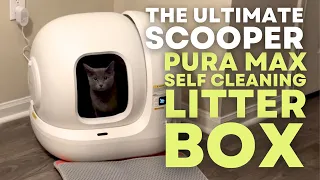 IS THE PETKIT PURA MAX WORTH IT? | FULL REVIEW AND UNBOXING