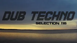 DUB TECHNO || Selection 116 || Lake View Dubs