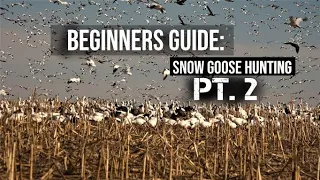 Beginners Guide: Snow Goose Hunting PT. 2 | How to Set Decoys | Hunting Migrators and Feeds