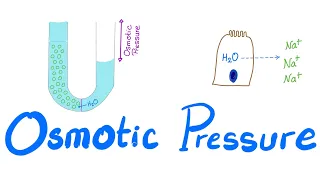 Osmotic Pressure - Osmosis - Colligative property - Physiology Series