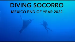 Diving Socorro Mexico End of Year 2022 in 4K