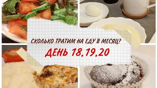 Сколько тратит на питание в месяц семья из 3 человек?/День 18,19,20/Фудбук/Курица по-гавайски/Кексы