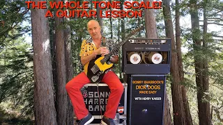 The Whole Tone Scale! Sonny Sharrock’s DICK DOGS lesson - with Henry Kaiser