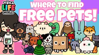 WHERE TO FIND ALL FREE PETS ! IN BOPY CITY TOCA LIFE WORLD