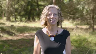 Inger Andersen message for International Day of Clean Air for blue skies 2020