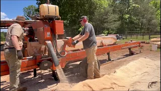 Ep22. Sawing some nice red oak, watch the grains pop, sawed some rotten cedar