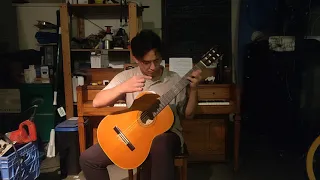 Clair de Lune by Debussy on Solo Classical Guitar arr. James Edwards