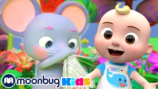 The Sneezing Song! | CoComelon One Hour Sing Along | Learn ABC 123 | Fun Cartoons | Moonbug Kids