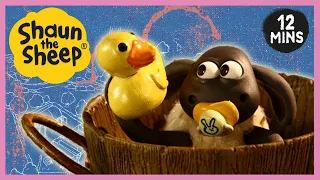 Sheepless Nights - Spring Lamb 😴 Shaun the Sheep Season 2 🐑 Cartoons for Kids