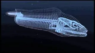 Moray Eels Alien Empire - Example of CGI