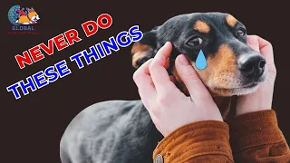 You Won't Believe The 11 Things Your Dog Will NEVER Forgive! - Ani Training - Global Dog Training