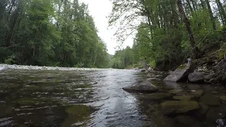 Peaceful and Relaxing Beckler River is a Real LiveStream in Mt  Baker Snoqualmie National Forest