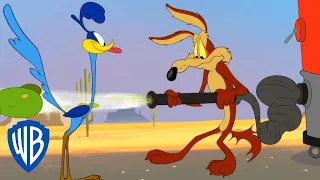 Looney Tunes po polsku 🇵🇱 | Wiosenne porządki kojota | WB Kids