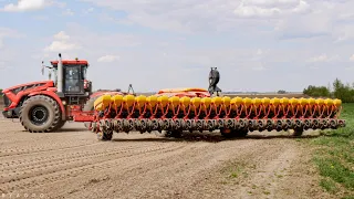 24 ROWS! KIROVETS K-742M with VADERSTAD Tempo L24 in Belarus