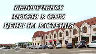 Какая пенсия у инвалида детсва/Мы в шоке/Плодопитомник растений в Родниках/Жизнь на пенсии