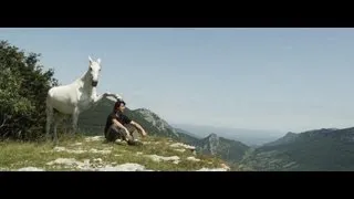 Gazelle un film de Jean-François Pignon,célèbre dresseur de chevaux (bande-annonce/trailer)