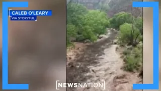 Body of missing hiker found in Utah | NewsNation Prime