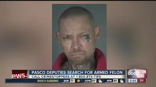 Pasco County deputies search for armed felon, offer reward