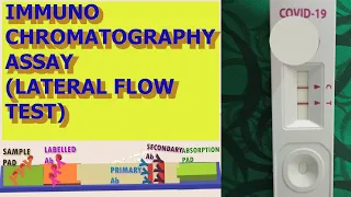 IMMUNO CHROMATOGRAPHY -LATERAL FLOW ASSAY