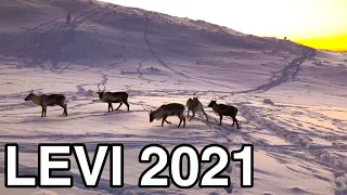 Levi Lapland Finland 2021