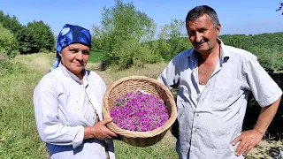 Lavender oil and Uzbek Manty