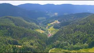 Schwarzwald in Summer Drone Cinematic