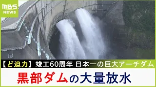 ど迫力！『黒部ダム』の大量放水　竣工６０周年を迎えた日本一の巨大アーチダムは夏も涼しい！【現場から生中継】（2023年7月31日）