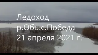 Ледоход на р.Обь. 21 апреля 2021.