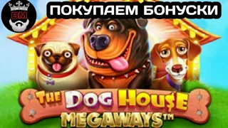 ЗАНОСЫ НЕДЕЛИ, DOG HAUS ПОКУПНЫЕ БОНУСКИ, КАЗИНО ОНЛАЙН...