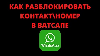 Как разблокировать контакт (номер) в ватсапе