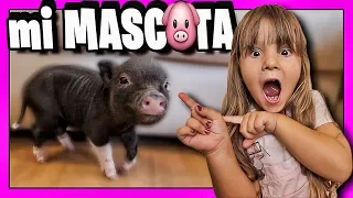 24 HOURS WITH MY PET 🐷 I HAVE A NEW PET