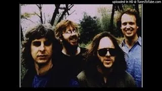 Phish - Slave to the Traffic Light - 8/6/1993 - Cincinnati, OH