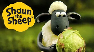 Off the Baa | Shaun the Sheep | S1 Full Episodes