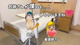 【陰部洗浄】病院で看護師さんにアレをお掃除してもらったらヤバすぎた話【猫ミーム】【猫マニ】