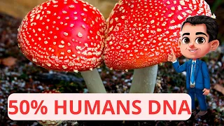 HUMAN DNA IS 50% FUNGI