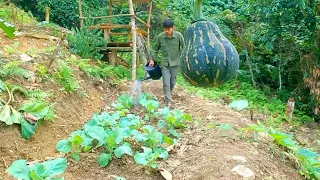 Make a wooden mortar - Cooking pig food - take care of the potato garden - Live with nature | Ep.57