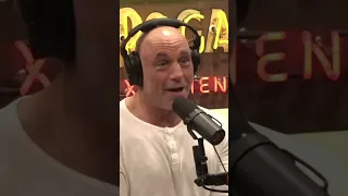 Joe Rogan Getting Invited To Hunt Wild Pigs 🐖