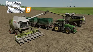 FS19 Уборка кукурузы на лучшей украинской карте, Claas Tucano 580, Claas Lexion 8900, John Deere 8R