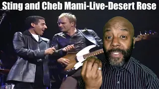 Sting and Cheb Mami-Live-Desert Rose | BRITISH REACTION