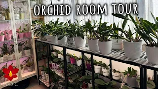 Orchid Room Tour - Autumn 2023 - Lots of New Setups to try!