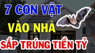 7 Con Vật Tự Nhiên Đến Nhà THẦN TÀI GHÉ THĂM GIA CHỦ GIÀU TO Tiền Về Như Lũ| VĐH