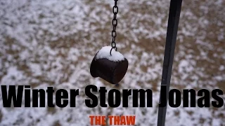 Winter Storm Jonas - The Thaw