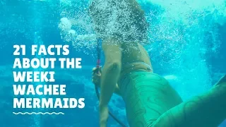 🧜‍♀️ 21 Weeki Wachee Mermaids Facts You Never Knew - Weeki Wachee State Park Florida