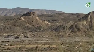 Un mar de olivos en el desierto, Tabernas, Almería